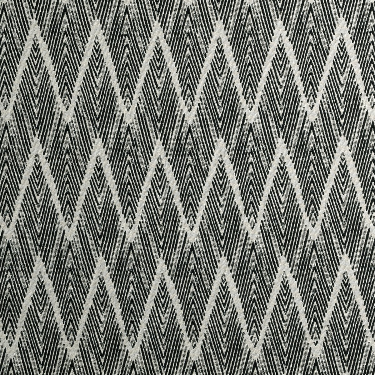 Clarke & Clarke Bw1022 Black/White Fabric F0895/01.CAC.0