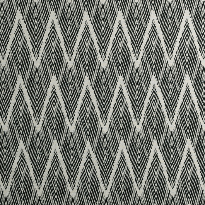 Clarke & Clarke Bw1022 Black/White Fabric F0895/01.CAC.0