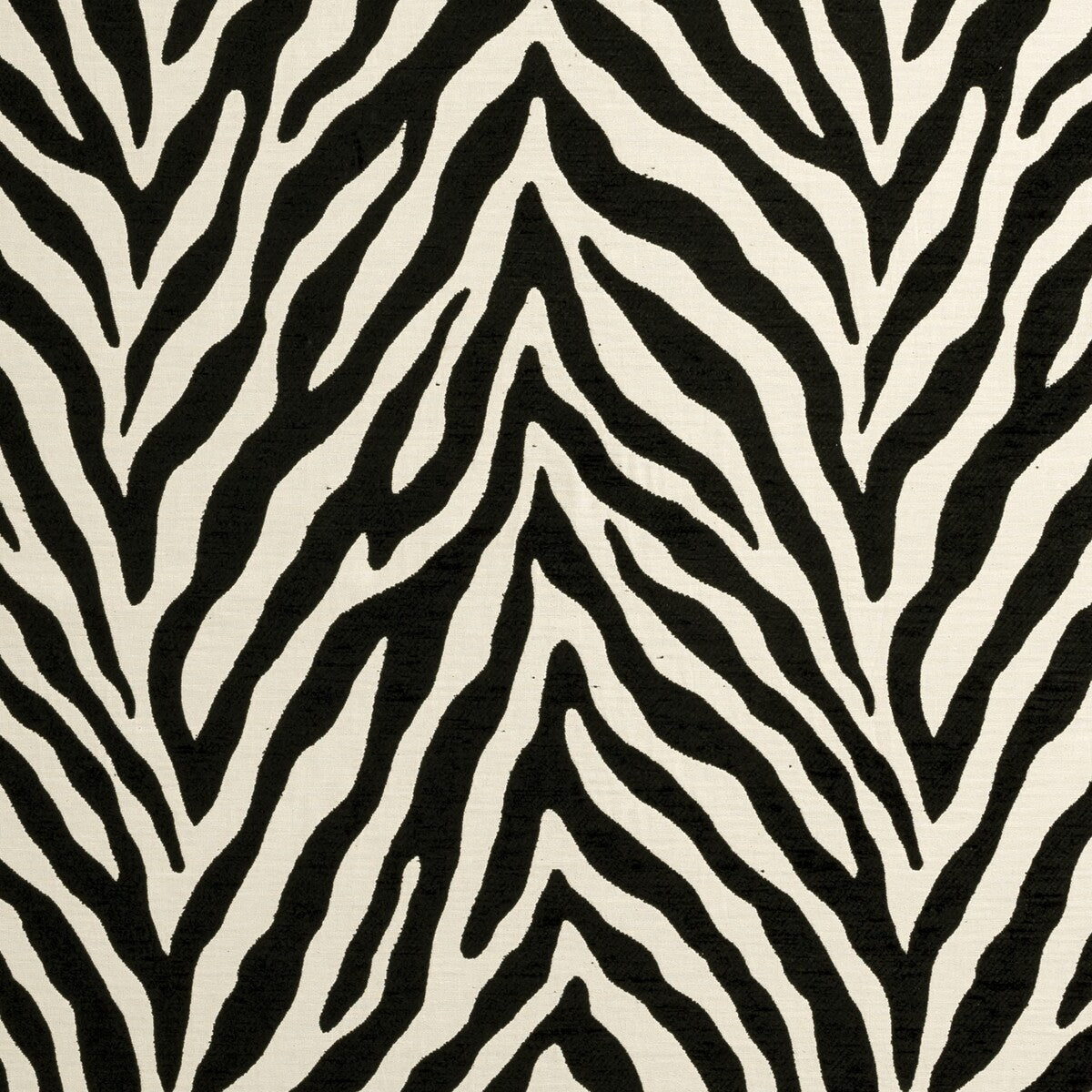 Clarke & Clarke Bw1029 Black/White Fabric F0902/01.CAC.0