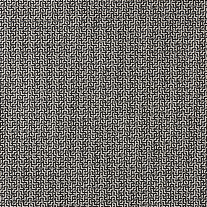 Clarke & Clarke Bw1030 Black/White Fabric F0903/01.CAC.0