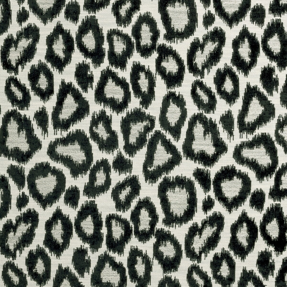 Clarke & Clarke Bw1039 Black/White Fabric F0912/01.CAC.0