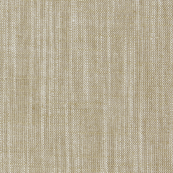 Clarke & Clarke Biarritz Bamboo Fabric F0965/04.CAC.0