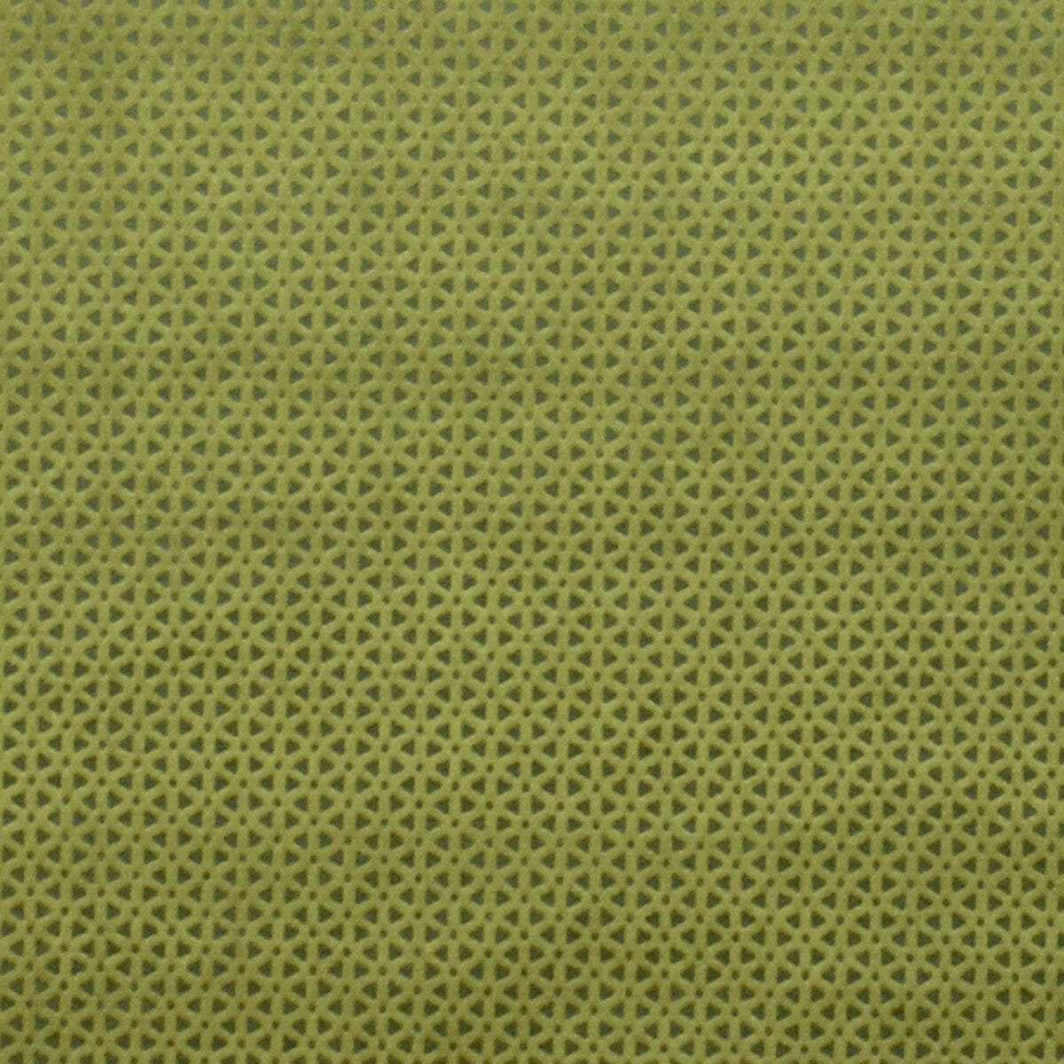 Clarke & Clarke Loreto Olive Fabric F0968/06.CAC.0