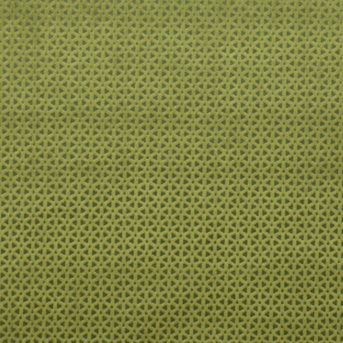 Clarke & Clarke Loreto Olive Fabric F0968/06.CAC.0