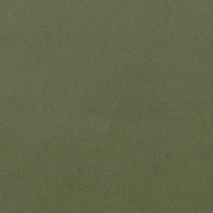 Clarke & Clarke Lucca Herb Fabric F1295/07.CAC.0