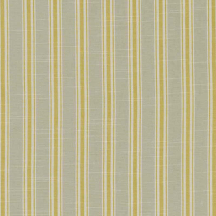 Clarke & Clarke Thornwick Citrus Fabric F1311/03.CAC.0