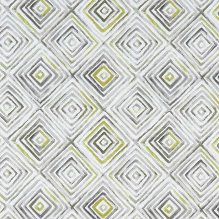 Clarke & Clarke Otis Chartreuse/Charcoal Fabric F1359/01.CAC.0