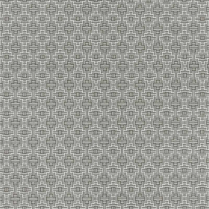 Clarke & Clarke Aztec Charcoal Fabric F1438/01.CAC.0