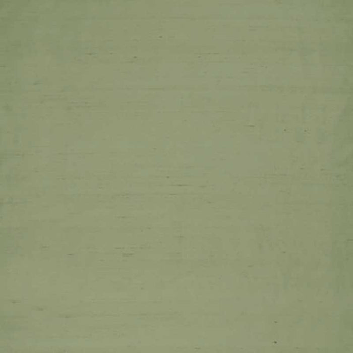 Clarke & Clarke Slyph Pistachio Fabric F1473/17.CAC.0