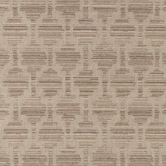 Charlotte  Fabric Sample F300-129