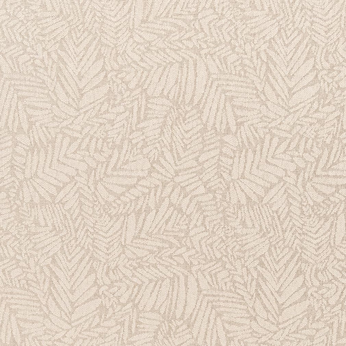 Charlotte  Fabric Sample F300-164