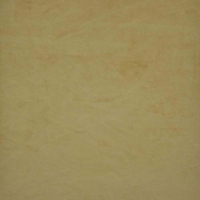 Maxwell Firenze Butterscotch Fabric FL7520