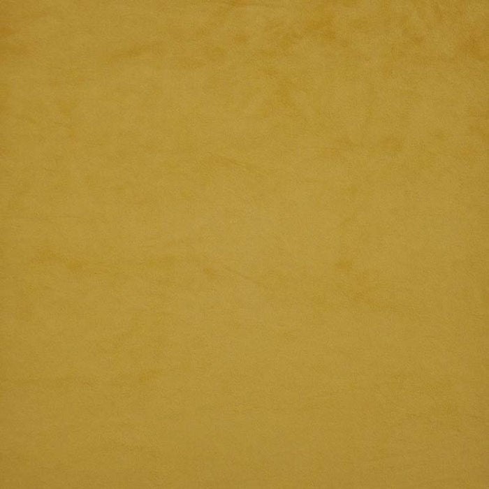 Maxwell Firenze Honey Bee Fabric FL7535