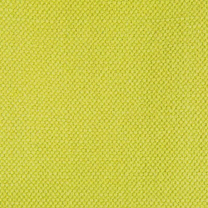 Gaston Y Daniela Lima Apple Green Fabric GDT5616.009.0