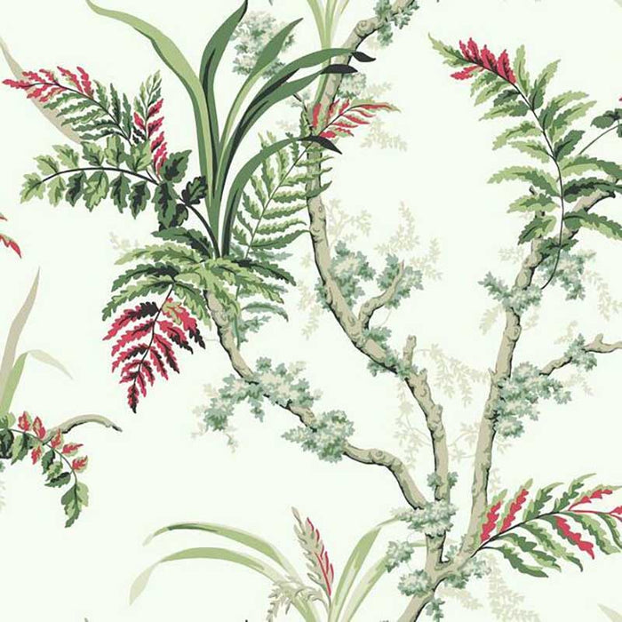 York Enchanted Fern Green/Red Wallpaper GR5993