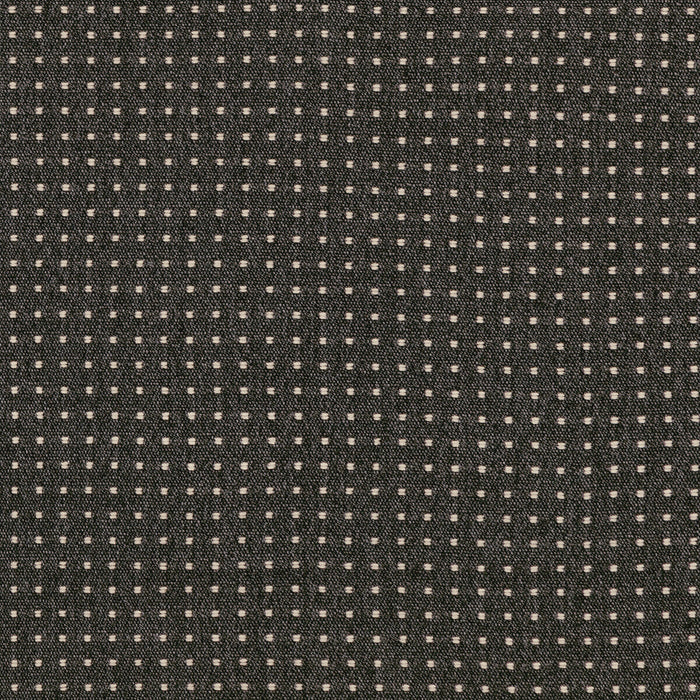 Lee Jofa Modern Tellus Obsidian Fabric GWF-3764.21.0