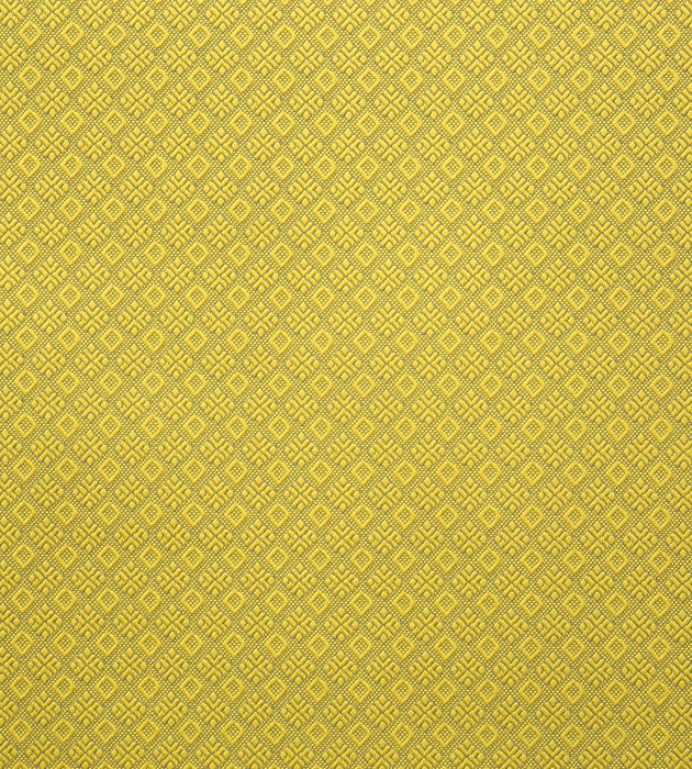 Lelievre Colibri Citron Fabric H0 00010560