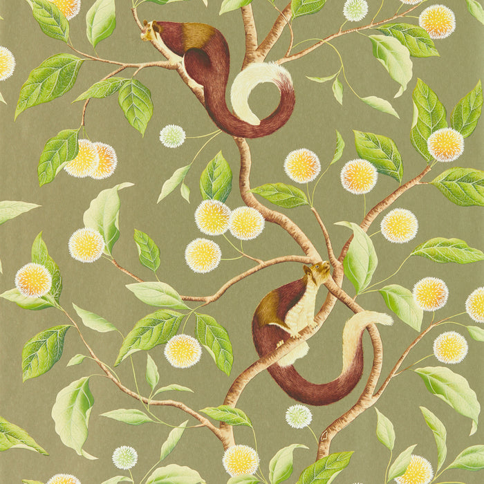 Harlequin Nellie Gilver/Meadow 112904 Wallpaper HDHW112904