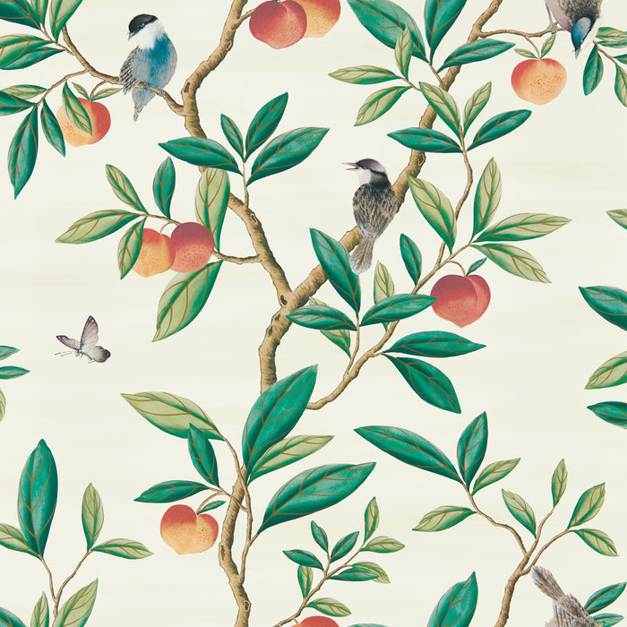 Harlequin Ella Fig Blossom/Fig Leaf/ Nectarine 112906 Wallpaper HDHW112906