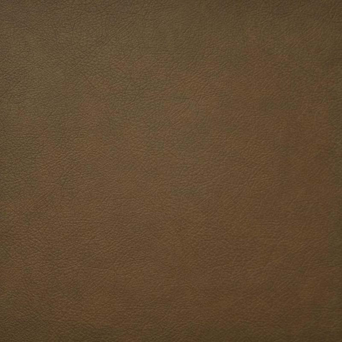 Maxwell Hidalgo Whiskey Fabric HG6720