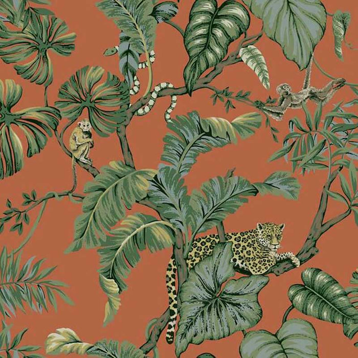 York Jungle Cat Orange Wallpaper HO2142