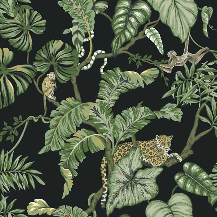 York Jungle Cat Black Wallpaper HO2143