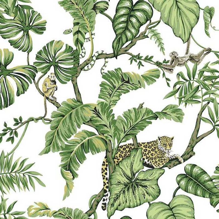 York Jungle Cat White Wallpaper HO2145