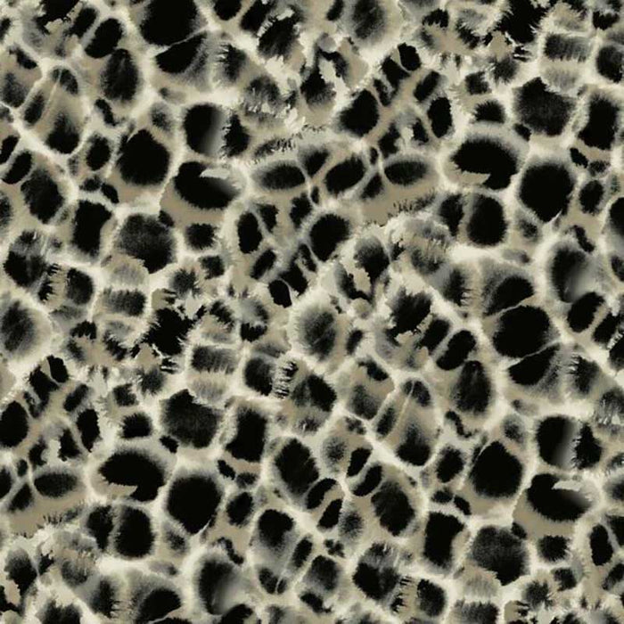 York Leopard Rosettes Black Wallpaper HO2162