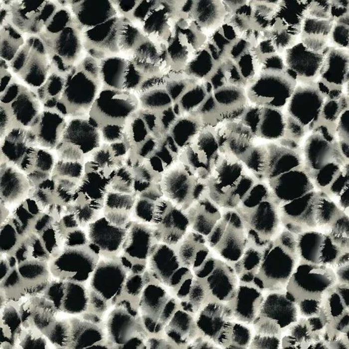 York Leopard Rosettes Black/Off White Wallpaper HO2164