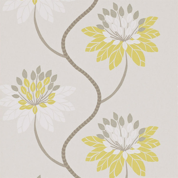 Harlequin Eloise Chartreuse/Warm Grey 111190 Wallpaper HWHI111190