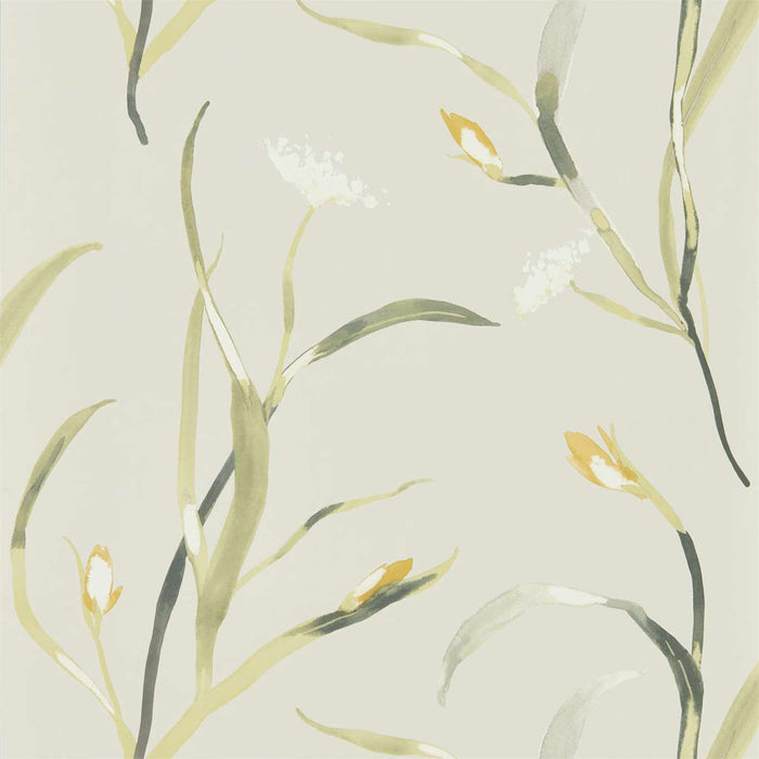 Harlequin Saona Ochre/Linen 111757 Wallpaper HZAP111757