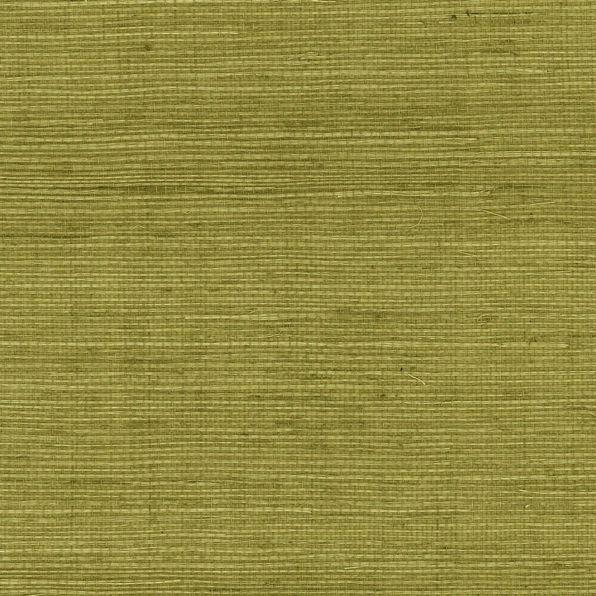 Seabrook Designs Sisal Grasscloth Olive Wallpaper LN11804