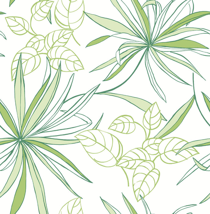 NextWall Spider Plants Green Peel & Stick Wallpaper NW36304