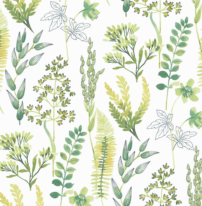 Seabrook Designs Wild Garden Lemon Lime Wallpaper NW45412