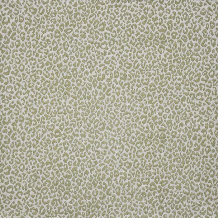 Maxwell Osbourne Fern Fabric O88247