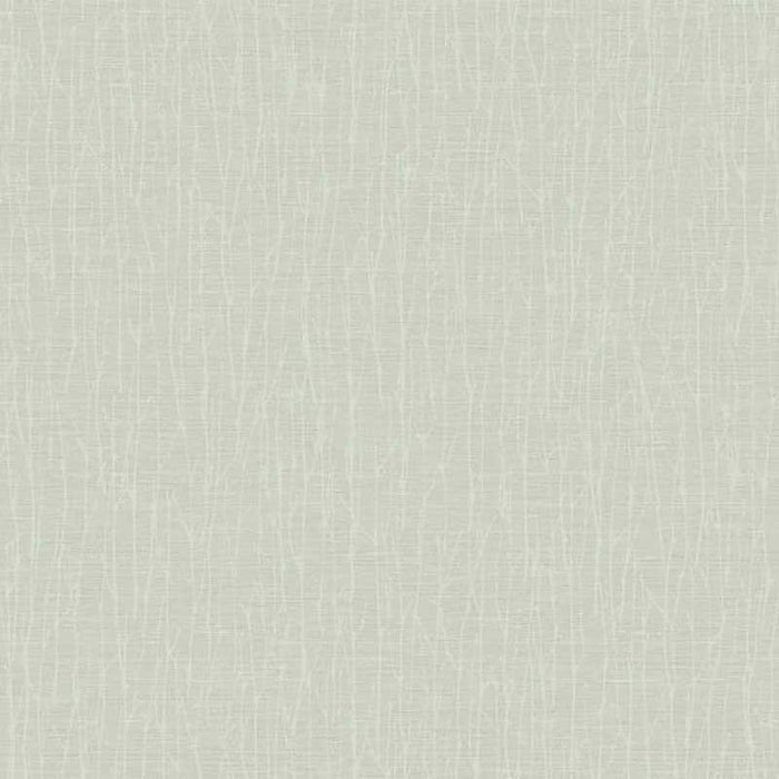 York Woodland Twigs Cream/White Wallpaper OG0554