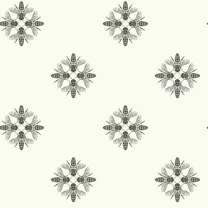 York Honey Bee Black/White Wallpaper ON1643