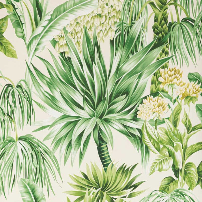 Lee Jofa Caluya Paper Palm Wallpaper P2020104.3034.0