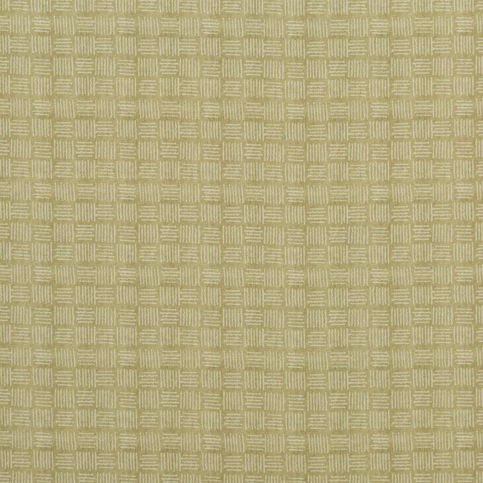 Baker Lifestyle Salsa Square Cashew Fabric PP50441.4.0