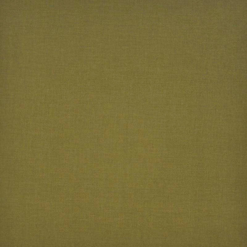 Maxwell Perry-Ess Tomatillo Fabric PT4510