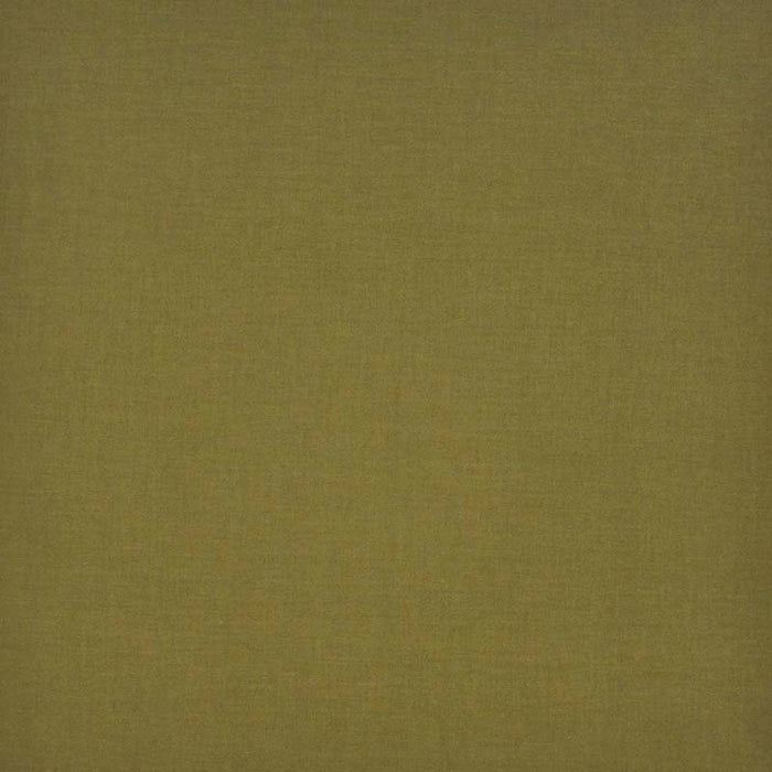 Maxwell Perry-Ess Tomatillo Fabric PT4510