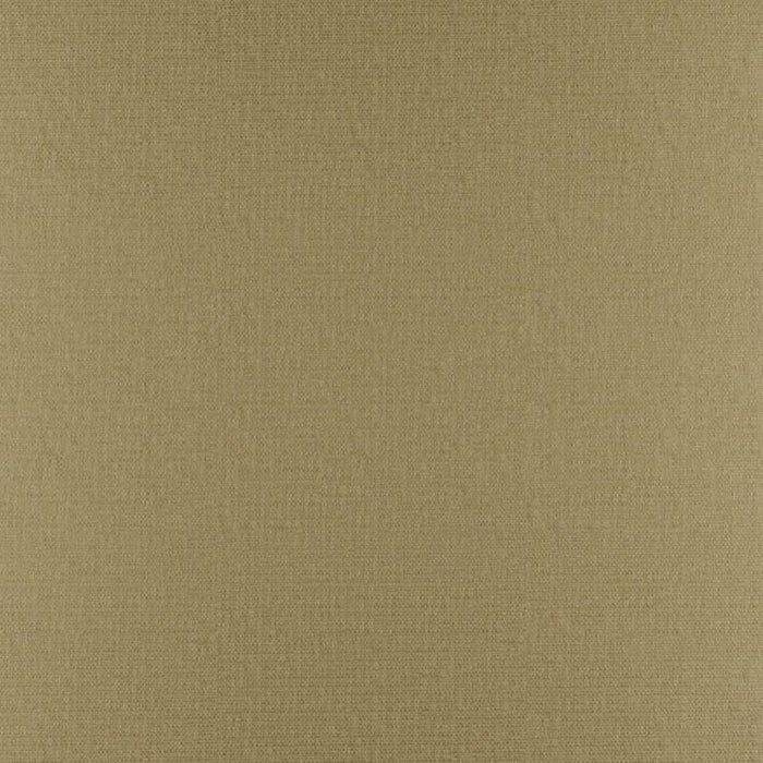 Maxwell Phobos Cane Fabric PY1315