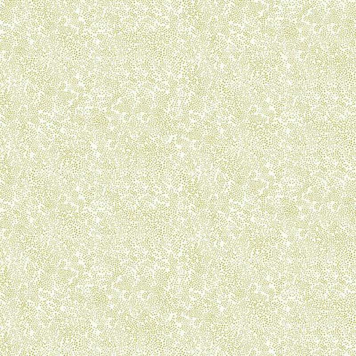 Rifle Paper Co Champagne Dots Gold/White Wallpaper RI5112