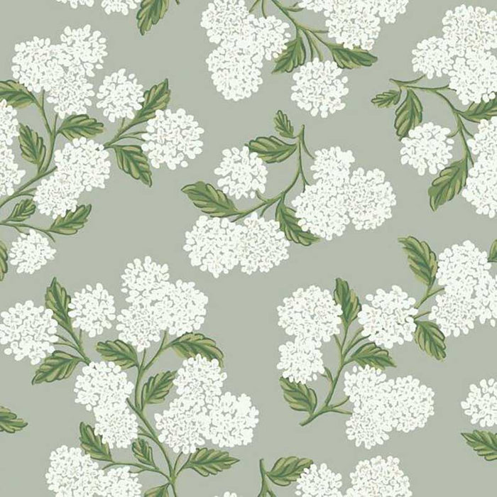 Rifle Paper Co Hydrangea Gray Wallpaper RI5144