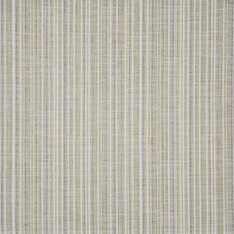 Maxwell Renzo Kiwi Fabric RN1243