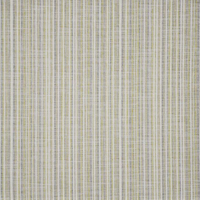 Maxwell Renzo Kiwi Fabric RN1243