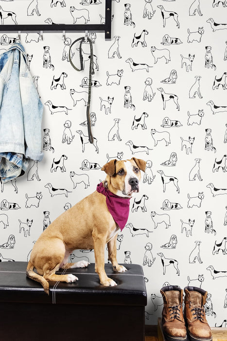 Stacy Garcia Home Best in Show Onyx Peel & Stick Wallpaper SG10400