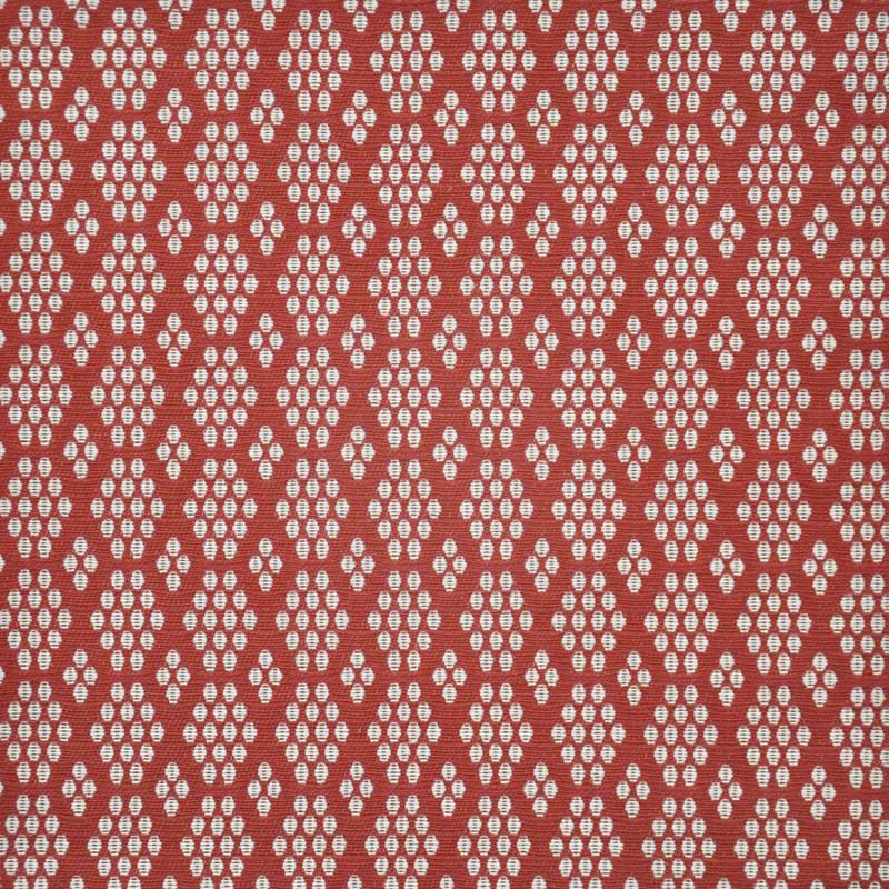 Maxwell Shoal Raspberry Fabric SLL436