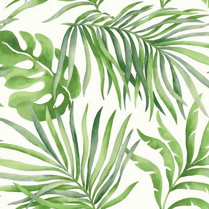 York Paradise Palm Green Wallpaper SO2450