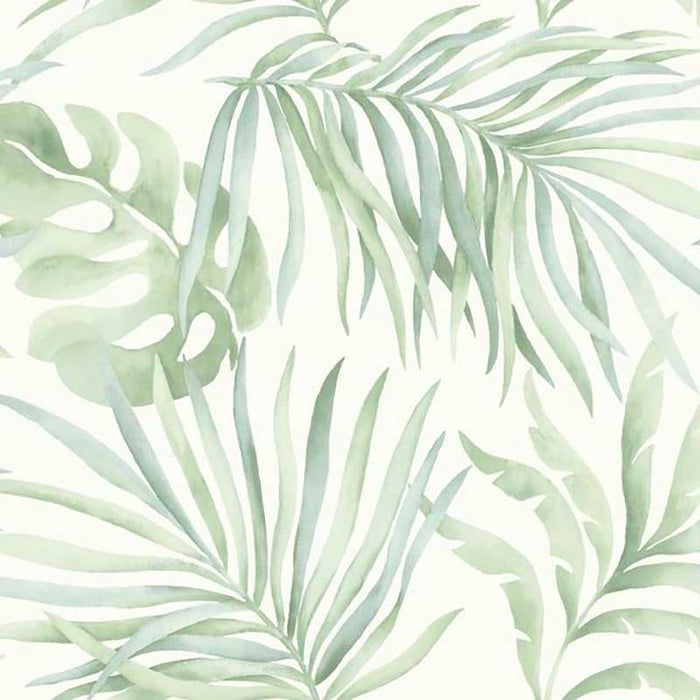 York Paradise Palm Light Green Wallpaper SO2452